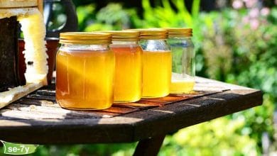 فوائد عسل البرسيم واستخداماته المختلفة